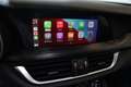 Alfa Romeo Stelvio Magnifica 2,2 ATX AWD Rot - thumbnail 19