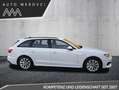 Audi A4 Avant 40 TDI 2.0 S-tronic/LED/ACC-Lane-Tot Weiß - thumbnail 4