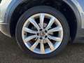 Volkswagen T-Roc 1.5 TSI Style Navi,LM18,IQ Drive-Paket Gris - thumbnail 14
