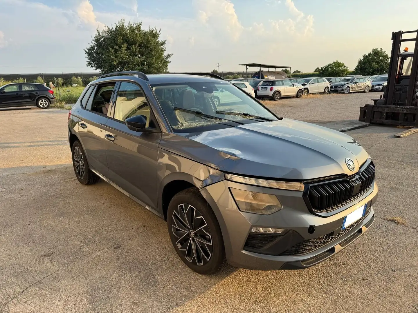 Skoda Kamiq 1.0 tsi Style 115cv dsg ALLUVIONATA Grigio - 2