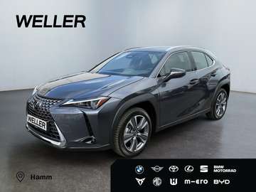 Luxury Line *LED*360°*M Levinson*HUD*ACC*