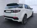 Land Rover Discovery Sport D200 R-Rynamic SE AWD Standheiz. Blanco - thumbnail 17