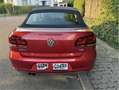 Volkswagen Golf Cabriolet Basis Rot - thumbnail 4