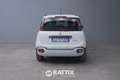 Fiat Panda Pandina 1.0 Firefly Hybrid 70CV Alb - thumbnail 5