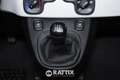 Fiat Panda Pandina 1.0 Firefly Hybrid 70CV Alb - thumbnail 24