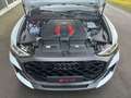 Audi RS Q8 performance tiptronic+Keramik+AHZ+Panodach+305Vmax Weiß - thumbnail 17