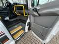 Mercedes-Benz Sprinter 313 Cdi Maxi L3 9Sitze + Lift Ahk Klima Weiß - thumbnail 6