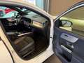 Mercedes-Benz B 250 B250e Edition2020/MBUX/NAVI/PDC/AMG/JUNGE-STERNE Blanc - thumbnail 14