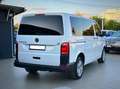 Volkswagen T6 Transporter transpoter 2016 83.000 km Perfette Condizioni - thumbnail 3