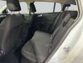 Ford Focus Turnier 1.5 EcoBlue Aut. TITANIUM EDITION Weiß - thumbnail 10