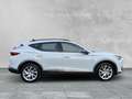 CUPRA Formentor 2.0 TDI 4DRIVE - NAVI+ACC+AHK+KAMERA Weiß - thumbnail 6