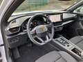 CUPRA Formentor 2.0 TDI 4DRIVE - NAVI+ACC+AHK+KAMERA Weiß - thumbnail 10