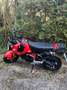Honda MSX 125 Rojo - thumbnail 5
