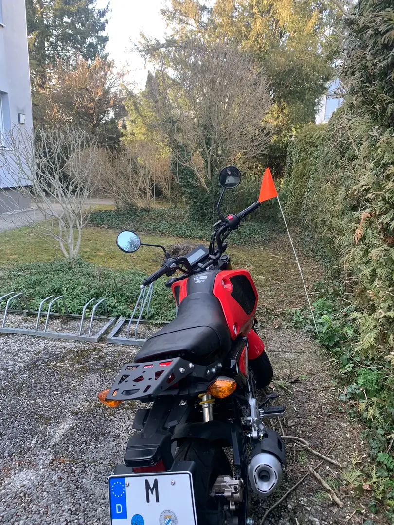 Honda MSX 125 Rojo - 1