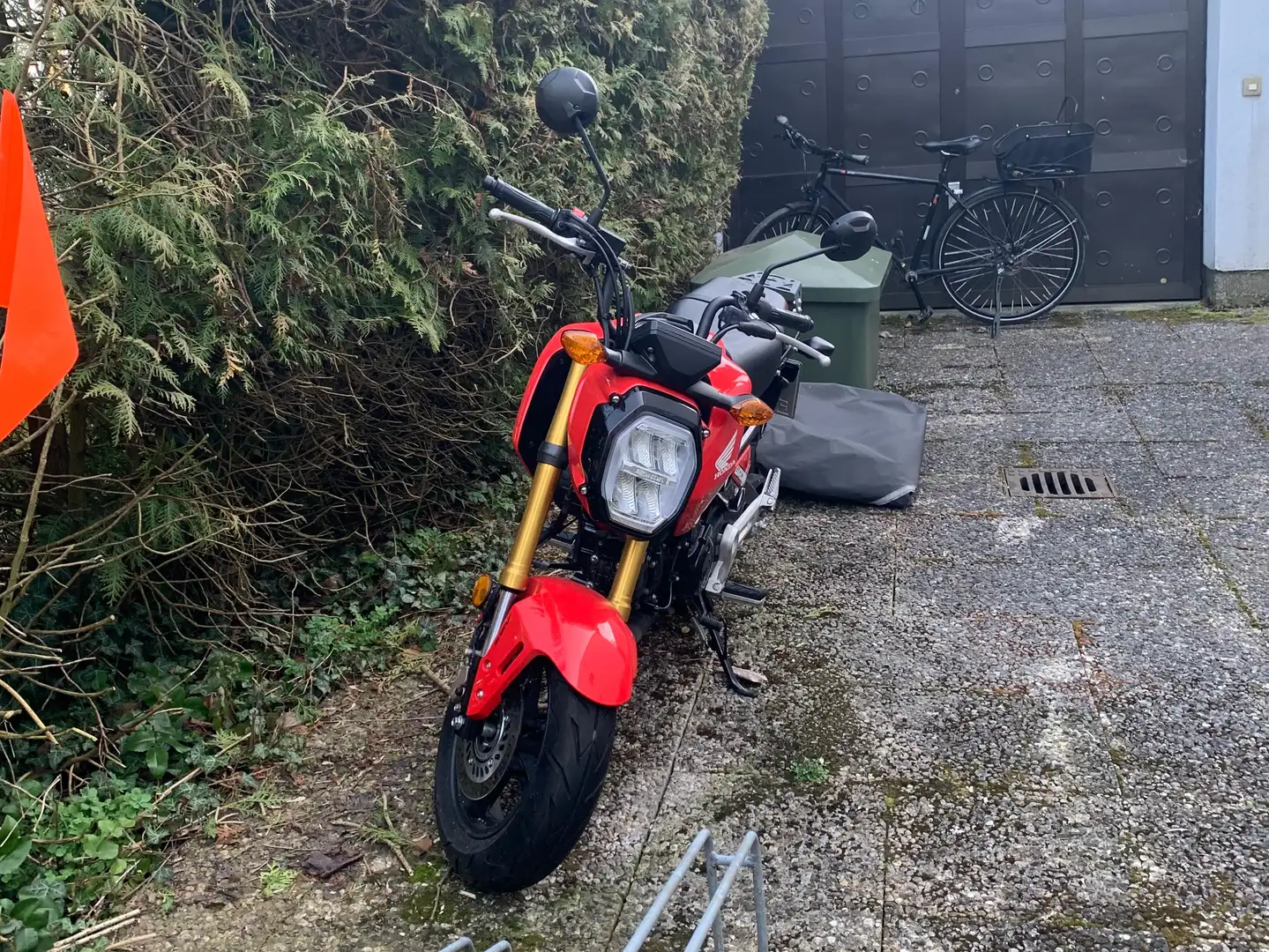 Honda MSX 125 Rojo - 2