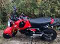 Honda MSX 125 Rojo - thumbnail 4
