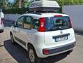 Fiat New Panda Bianco - thumbnail 3