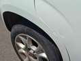 Fiat New Panda Bianco - thumbnail 4