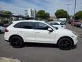 Porsche Cayenne Diesel Weiß - thumbnail 4