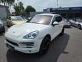 Porsche Cayenne Diesel Weiß - thumbnail 1