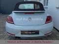 Volkswagen Beetle 1.4TSI DSG Allstar Plus Leder Fender DAB Weiß - thumbnail 6