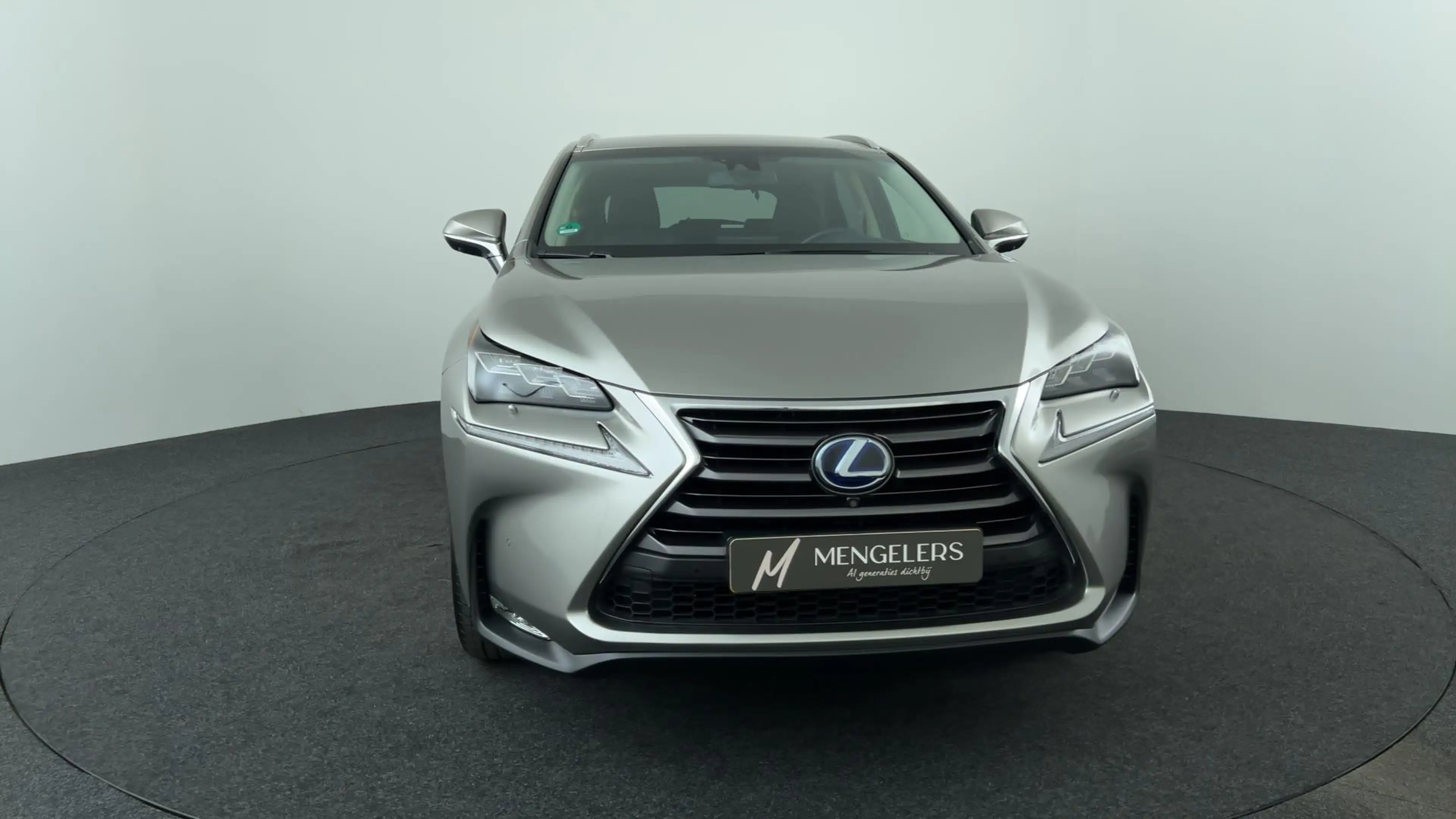 Lexus NX 300h AWD President Line — photo 8