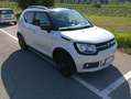 Suzuki Ignis 1.2 Cool 2wd Bianco - thumbnail 14
