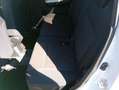 Suzuki Ignis 1.2 Cool 2wd Bianco - thumbnail 12