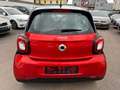 smart forFour forfour Basis 66kW-Cabrio- Rouge - thumbnail 5