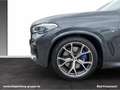 BMW X5 xDrive40d M Sportpaket Head-Up HK HiFi DAB Gris - thumbnail 9