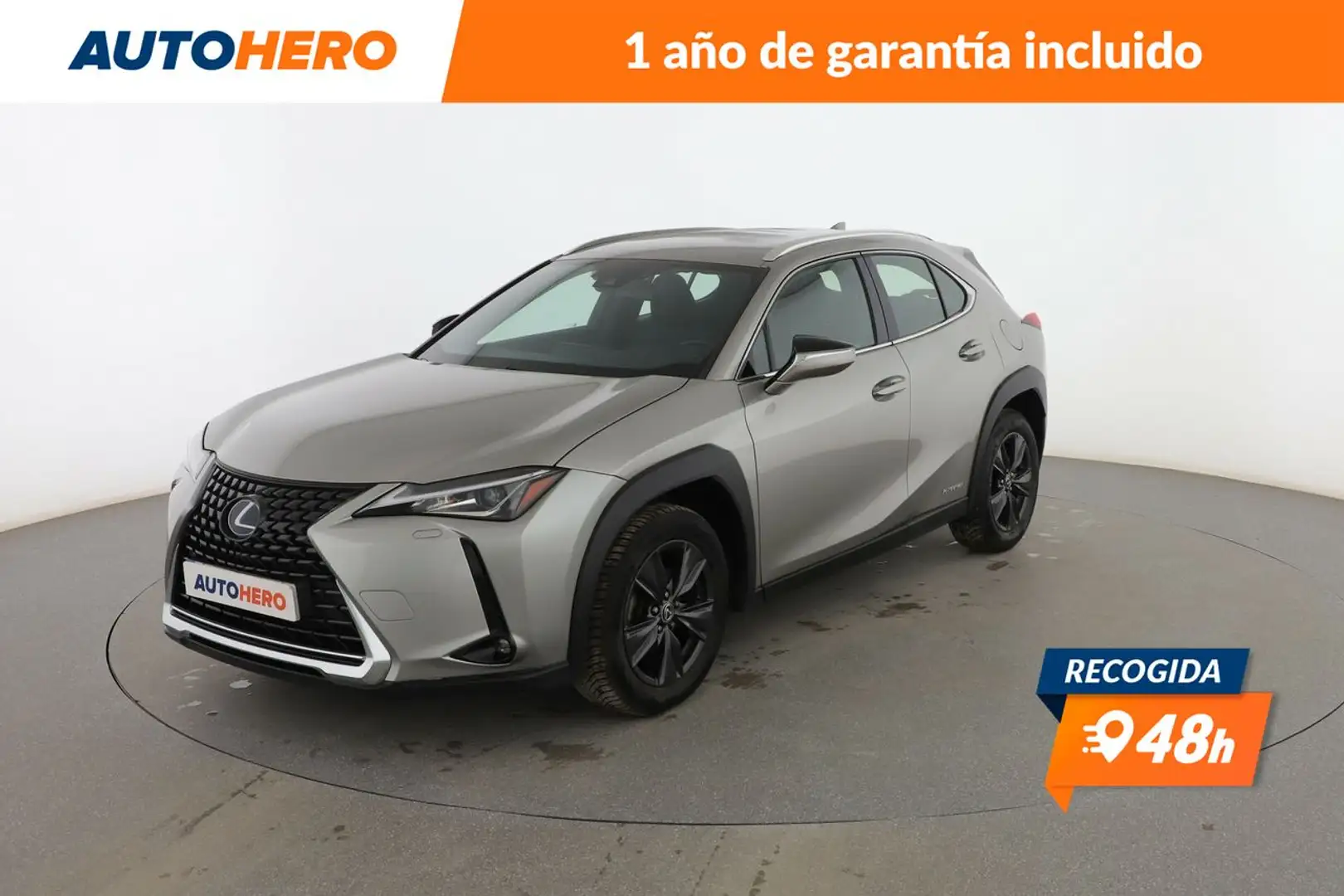 Lexus UX 250h Business Grau - 1