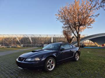 Bullitt Sn95