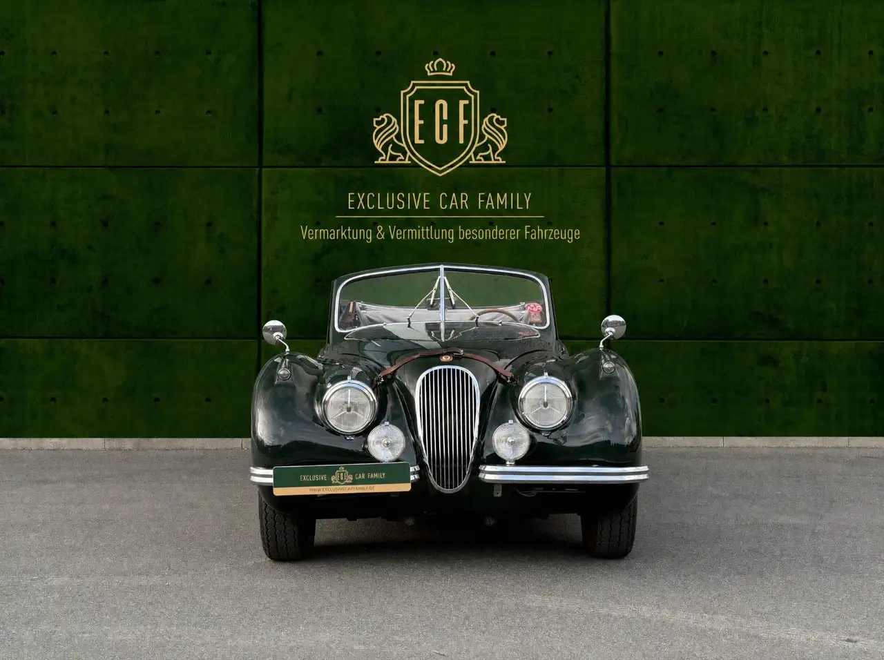 Jaguar XK 120 Drophead Coupé - Sammlerfahrzeug - Note 2, foto 3
