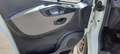 Renault Trafic FURGONE ISOTERMICO Bianco - thumbnail 12