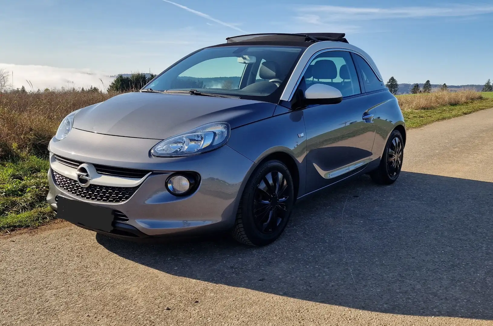Opel Adam Open Air ecoFlex Grau - 1
