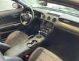 Ford Mustang GT 5.0 V8 CABRIO MANUALE Zwart - thumbnail 11