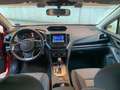 Subaru XV XV 1.6i Pure lineartronic my19 Rosso - thumbnail 6