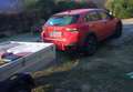 Subaru XV XV 1.6i Pure lineartronic my19 Rosso - thumbnail 9