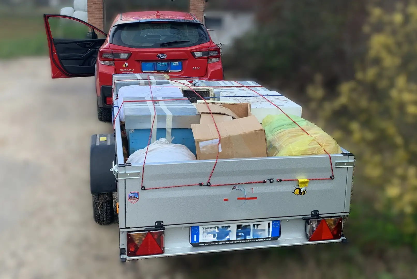 Subaru XV XV 1.6i Pure lineartronic my19 Rosso - 1