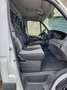 Iveco Daily 35S13 Weiß - thumbnail 5