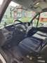 Iveco Daily 35S13 Weiß - thumbnail 4