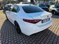 Alfa Romeo Giulia 2.2 Turbodiesel 160 CV AT8 ROSSO EDITION Bianco - thumbnail 6
