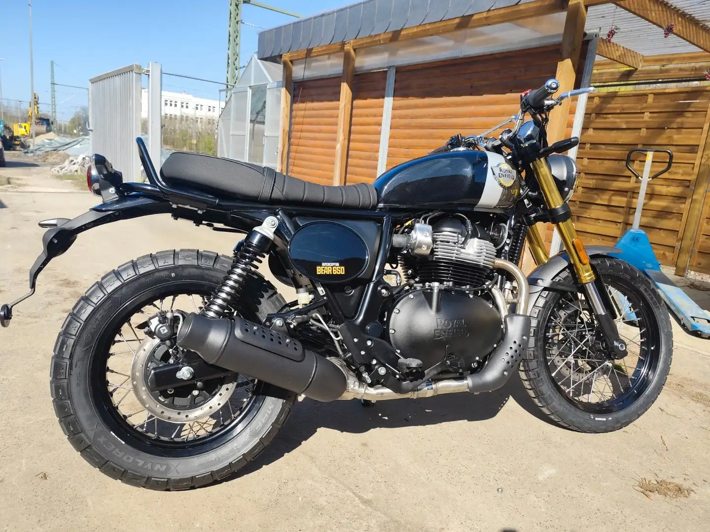 Royal Enfield Bear 650 sofort verfügbar! - 1
