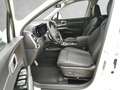 Kia Sorento 1,6 T-GDI Plug-In Hybrid GPF AWD Gold Aut. Weiß - thumbnail 6