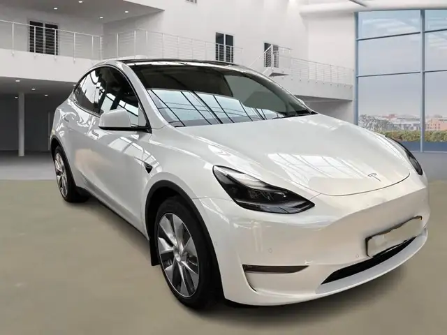 Tesla Model Y Long Range Dual AWD