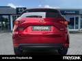 Mazda CX-5 SKYACTIV-G 165 EXCLUSIVE, NAVI,i-Activsense Paket Rouge - thumbnail 4
