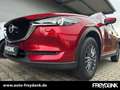Mazda CX-5 SKYACTIV-G 165 EXCLUSIVE, NAVI,i-Activsense Paket Rouge - thumbnail 6