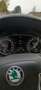 Skoda Octavia Octavia  Wagon Wagon 2.0 tdi  RS 170cv dsg Bianco - thumbnail 7
