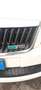 Skoda Octavia Octavia  Wagon Wagon 2.0 tdi  RS 170cv dsg Bianco - thumbnail 6