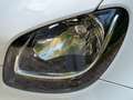 smart forTwo Fortwo III 2015 1.0 Passion 71cv twinamic my18 Blanc - thumbnail 14